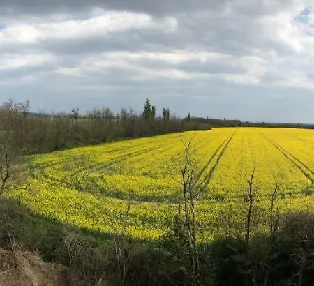 Balatonview - Myriam וילה Nemesbükk